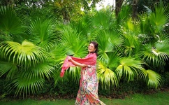 污丝瓜草莓榴莲深夜释放自己